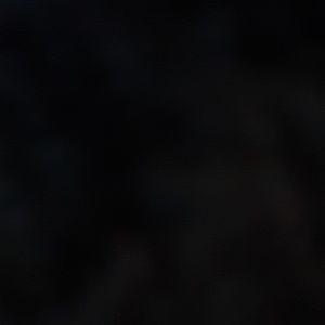 Meet your Posher, Richard